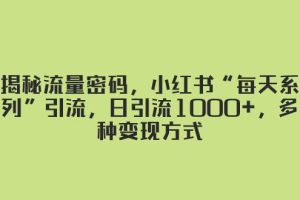 揭秘流量密碼，小紅書“每天系列”引流，日引流1000 ，多種變現方式
