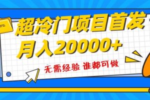 超級(jí)冷門項(xiàng)目，粵語(yǔ)動(dòng)畫賽道，十分鐘一個(gè)原創(chuàng)視頻，簡(jiǎn)單易上手 實(shí)測(cè)月入1w