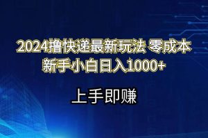 2024擼快遞最新玩法零成本新手小白日入1000+