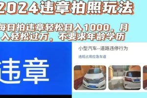 2024違章拍照新玩法，推廣躺賺+拍照賺錢雙模式，日入1000+
