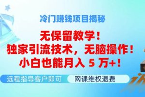 冷門賺錢項目無保留教學！獨家引流技術，無腦操作！小白也能月入5萬+！