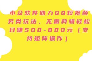 小眾軟件助力QQ短視頻另類玩法，無需剪輯輕松日賺500-800元（支持矩陣…