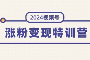 2024視頻號(hào)-漲粉變現(xiàn)特訓(xùn)營(yíng)：一站式打造穩(wěn)定視頻號(hào)漲粉變現(xiàn)模式（10節(jié)）