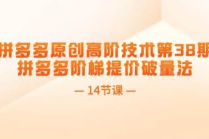 拼多多原創(chuàng)高階技術第38期，拼多多階梯提價破量法（14節(jié)課）