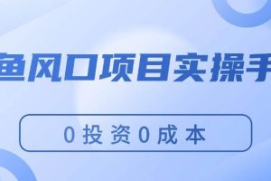 閑魚風口項目實操手冊，0投資0成本，讓你做到，月入過萬，新手可做