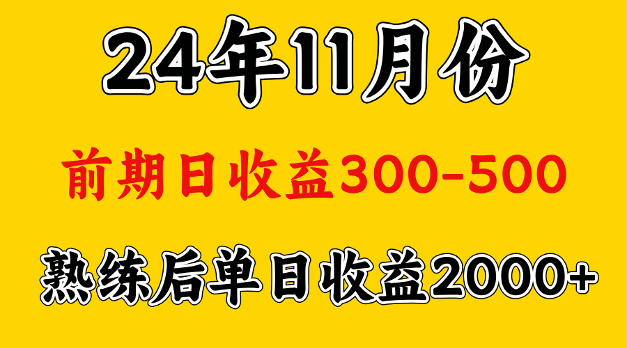 輕資產項目,前期日收益500左右,后期日收益1500-2000左右,多勞多得