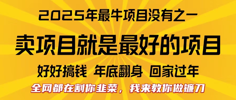 全網都在割你韭菜,我來教你做鐮刀。賣項目就是最好的項目,2025年最牛互聯網項目插圖 全網都在割你韭菜,我來教你做鐮刀。賣項目就是最好的項目,2025年最牛互聯網項目插圖