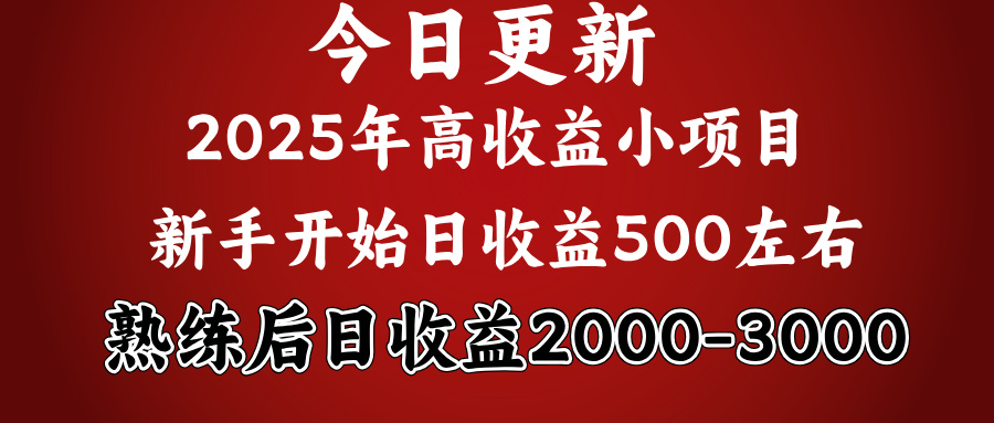 好項目一眼就能看出來,日收益1000,長久可做,2025拼的就是我比你勤奮