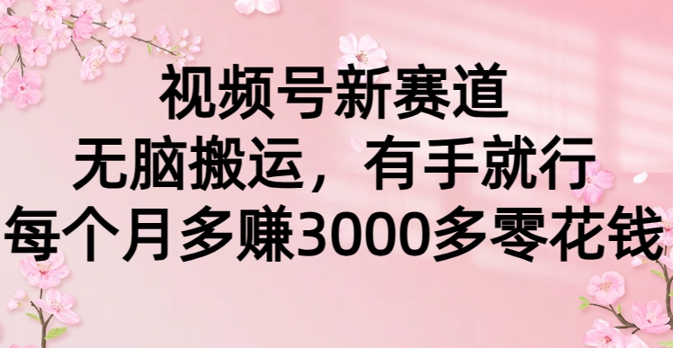 視頻號新賽道,無腦搬運,有手就行,每個月多賺3000多零花錢插圖 視頻號新賽道,無腦搬運,有手就行,每個月多賺3000多零花錢插圖