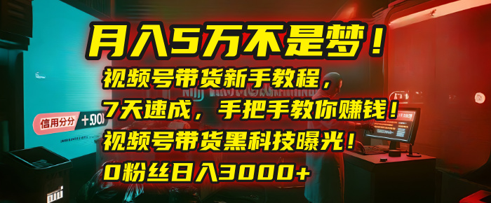 月入5萬不是夢！視頻號帶貨新手教程，7天速成，手把手教你賺錢！視頻號帶貨黑科技曝光！0粉絲日入3000+