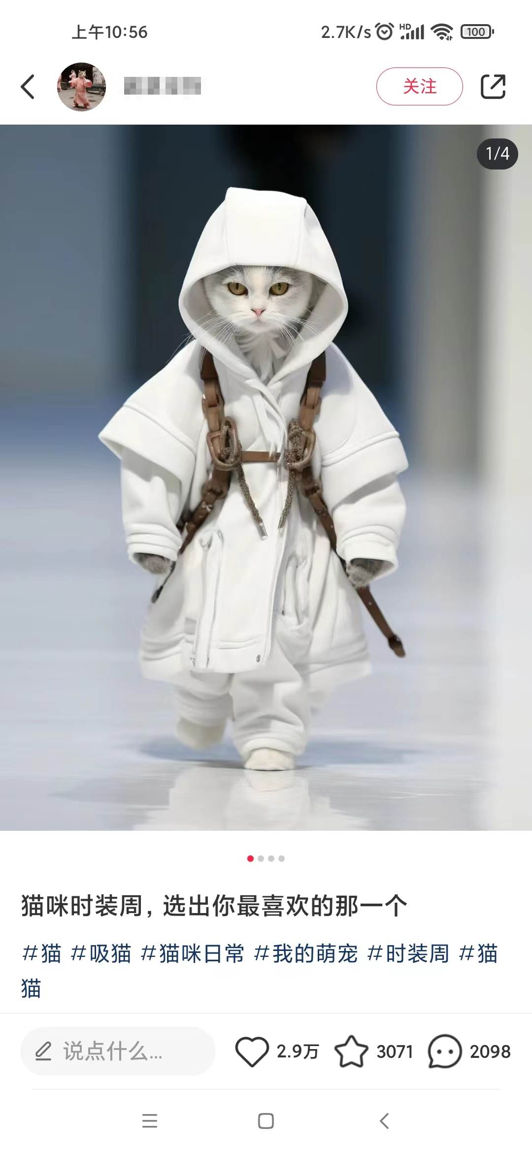 小紅書最新爆款項目,Animal秀,7天變現1w插圖1 小紅書最新爆款項目,Animal秀,7天變現1w插圖1