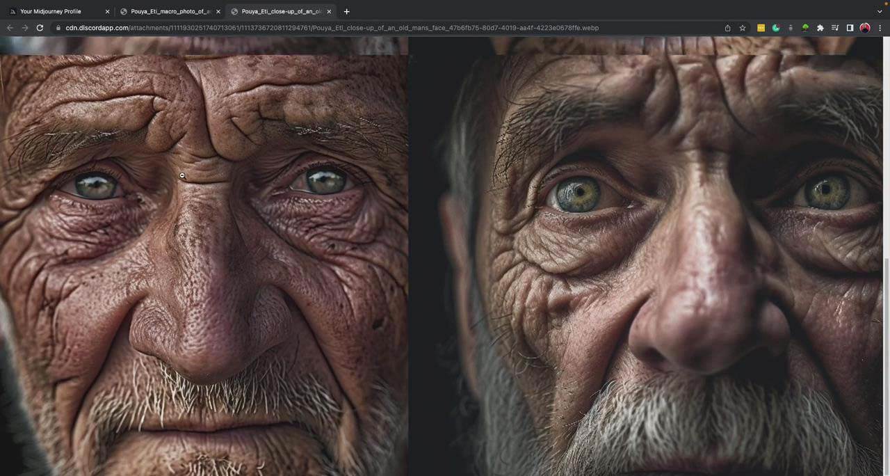 Midjourney, Adobe Firefly AI, ChatGPT 4大型AI人工智能-137節課-中英字幕插圖10