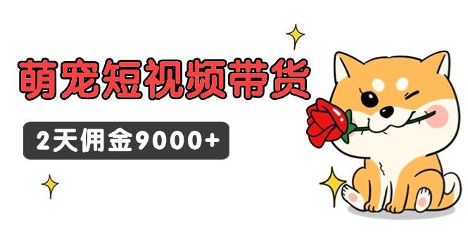 東哲日記·萌寵短視頻帶貨，2天傭金9000+